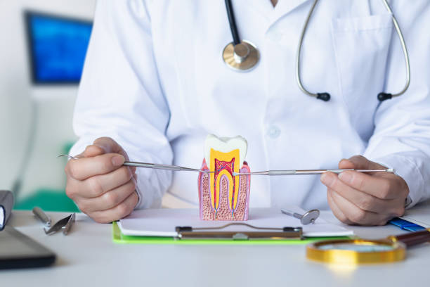 Best Emergency Wisdom Teeth Removal in North Scituate, MA